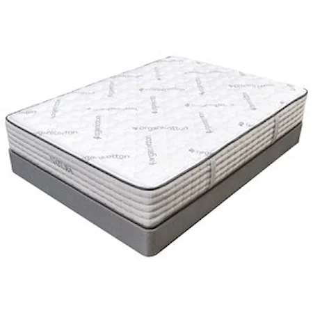 Queen 12" Plush Pocketed Coil Mattress and 9" Natural Wood Foundation